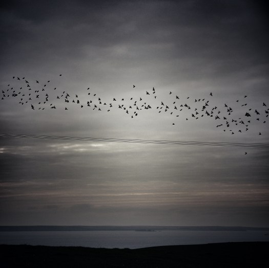 Dreaming Of Escape III