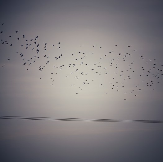 Dreaming Of Escape II