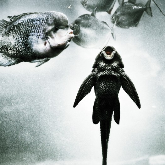 IMG_20151124_153631_1363