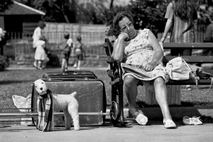 At The Zoo : Watching The Animals